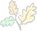 Bréguières de Mougins logo